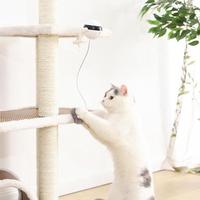 Pet Cat Toy | Electronic Motion Cat Toy