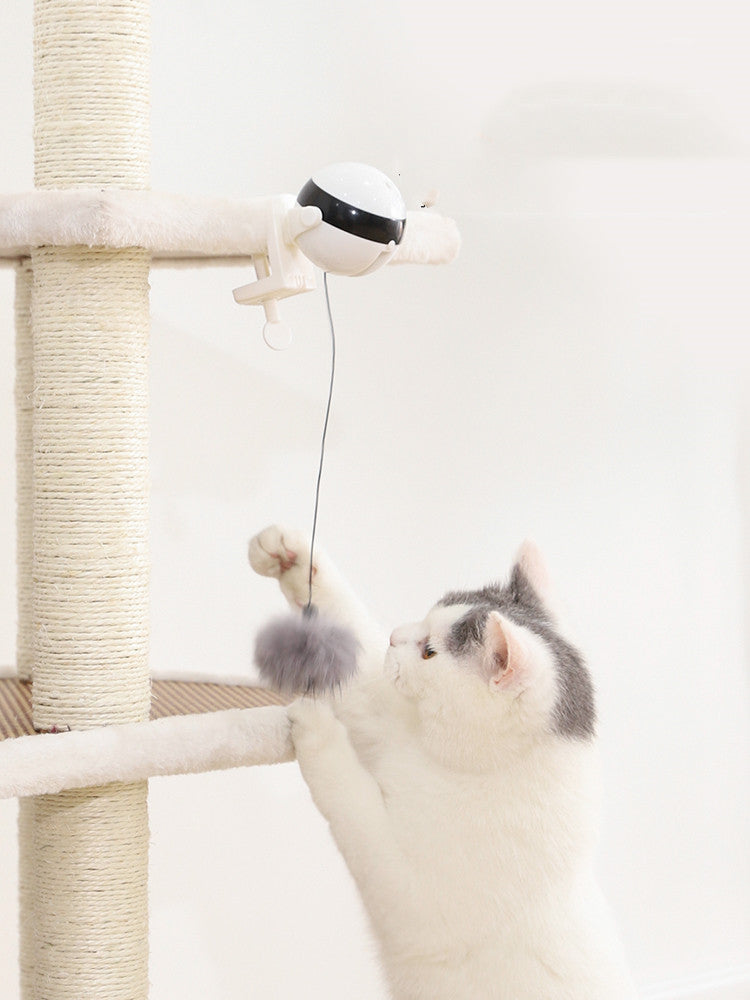 Electric Automatic Lifting Motion Cat Toy