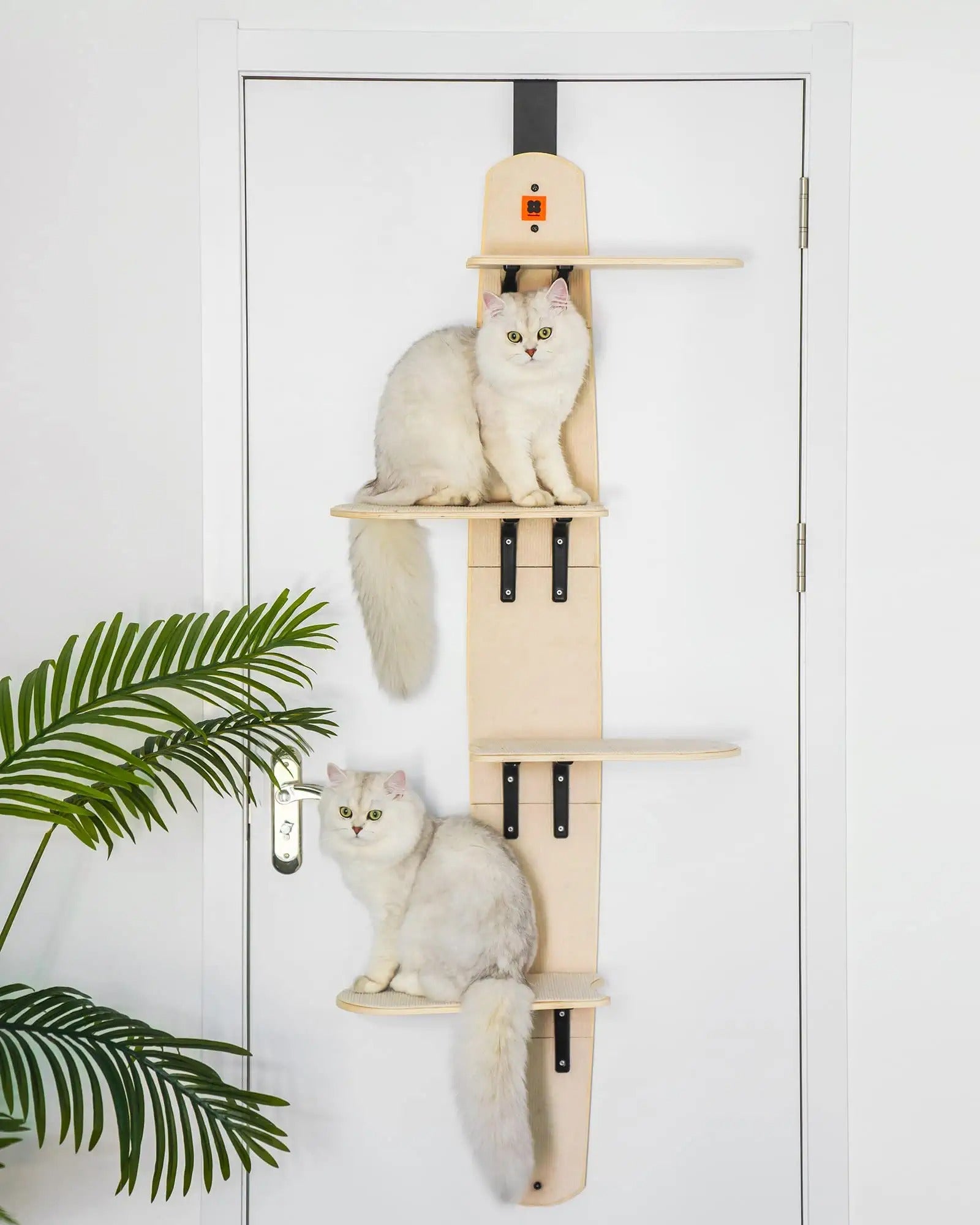 Mewoofun 4-Levels Versatile Cat Climber