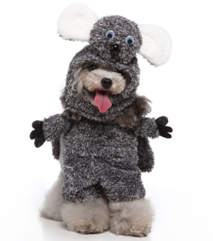 Standing Outfit Funny Dog Clothes | Cosplay Pet Supplies | Pet Outfit