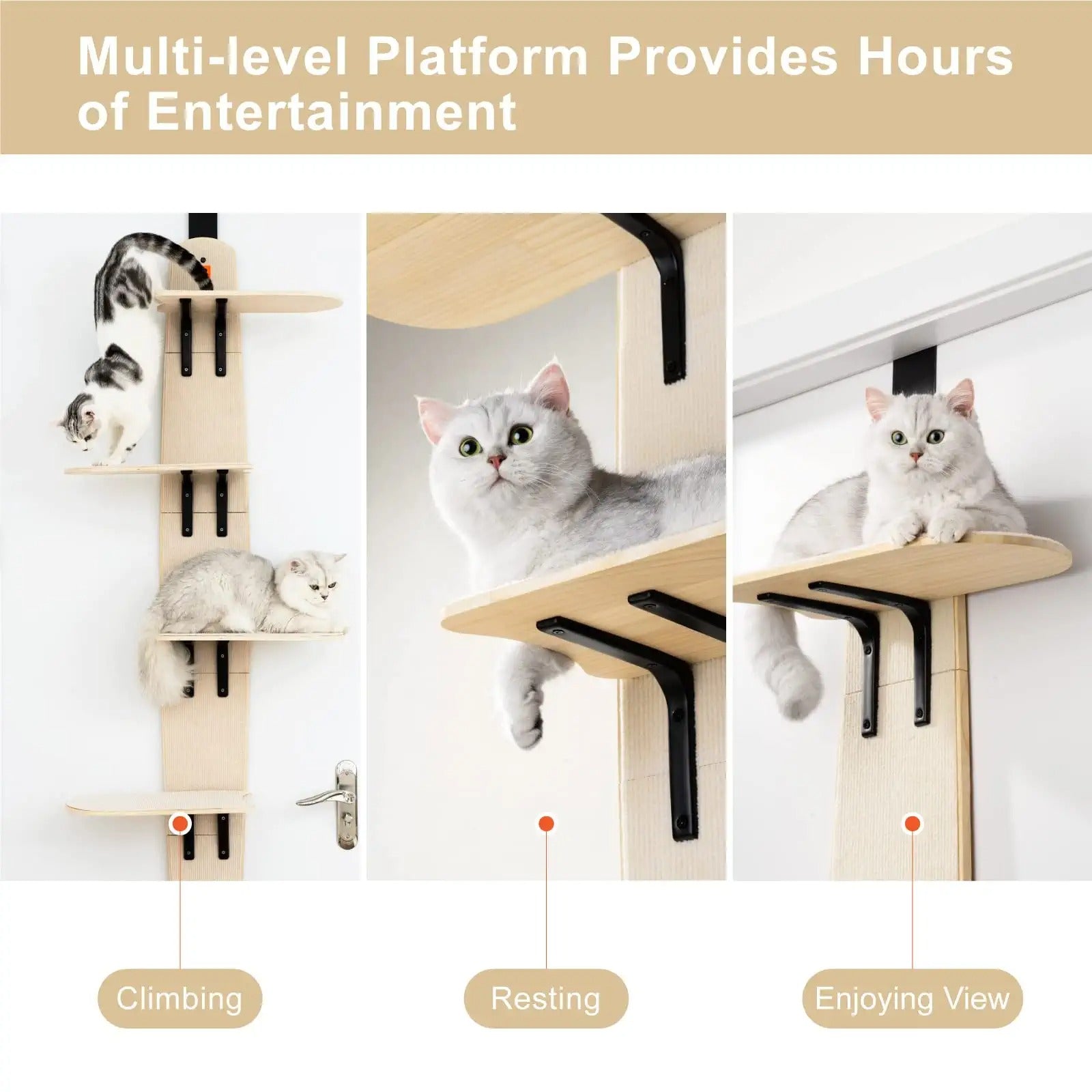 Mewoofun 4-Levels Versatile Cat Climber