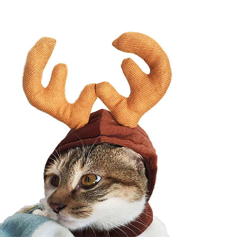 Dog Cat Costume Christmas