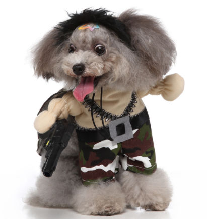 Standing Outfit Funny Dog Clothes | Cosplay Pet Supplies | Pet Outfit