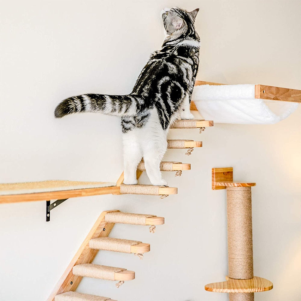 Cat Climbing Shelf Wall Mounted Furniture | Floating Cat Wood Climb Furniture Tree