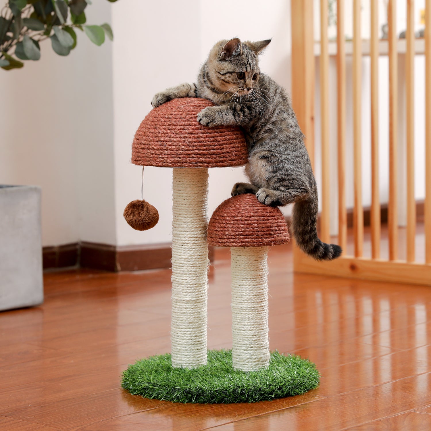 Growing Mushroom Cat Scratcher | Mushroom Cat Scratch