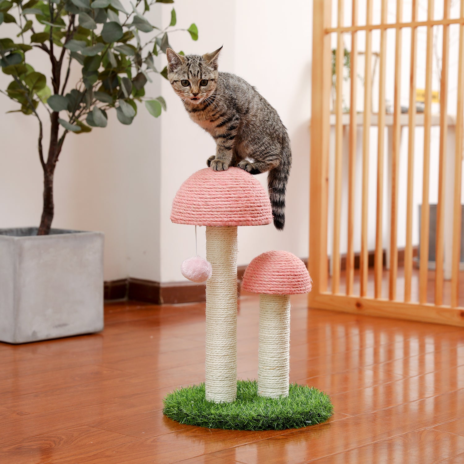 Growing Mushroom Cat Scratcher | Mushroom Cat Scratch