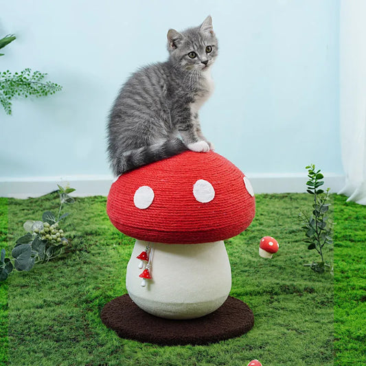 Mushroom Cat Scratcher