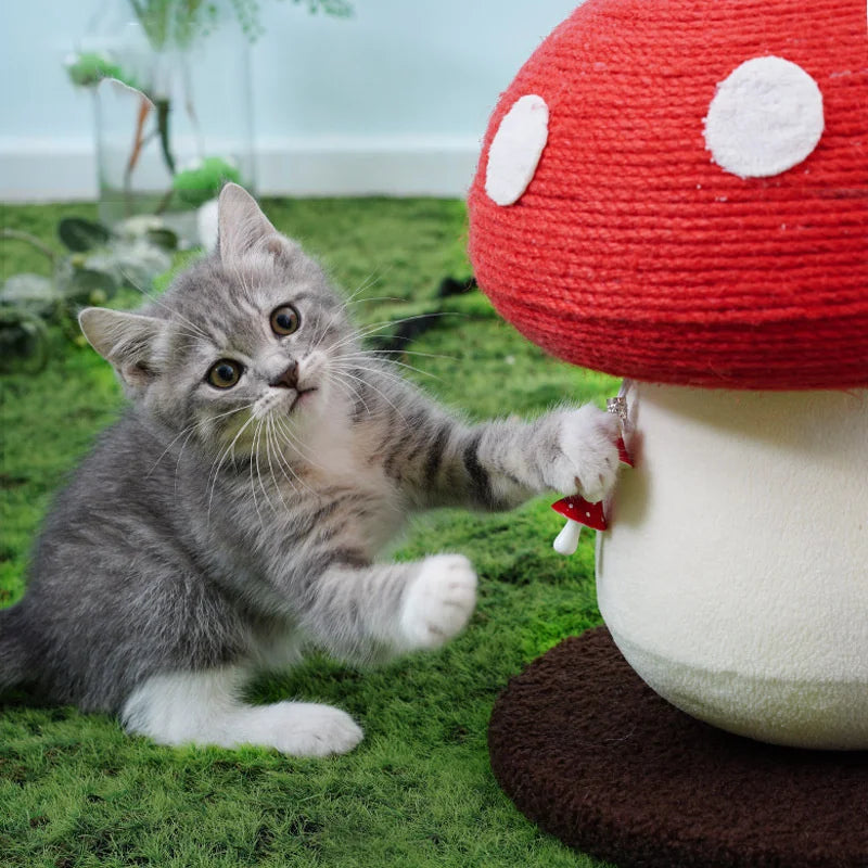 Mushroom Cat Scratcher