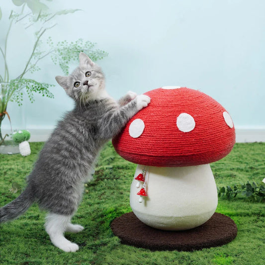 Mushroom Cat Scratcher