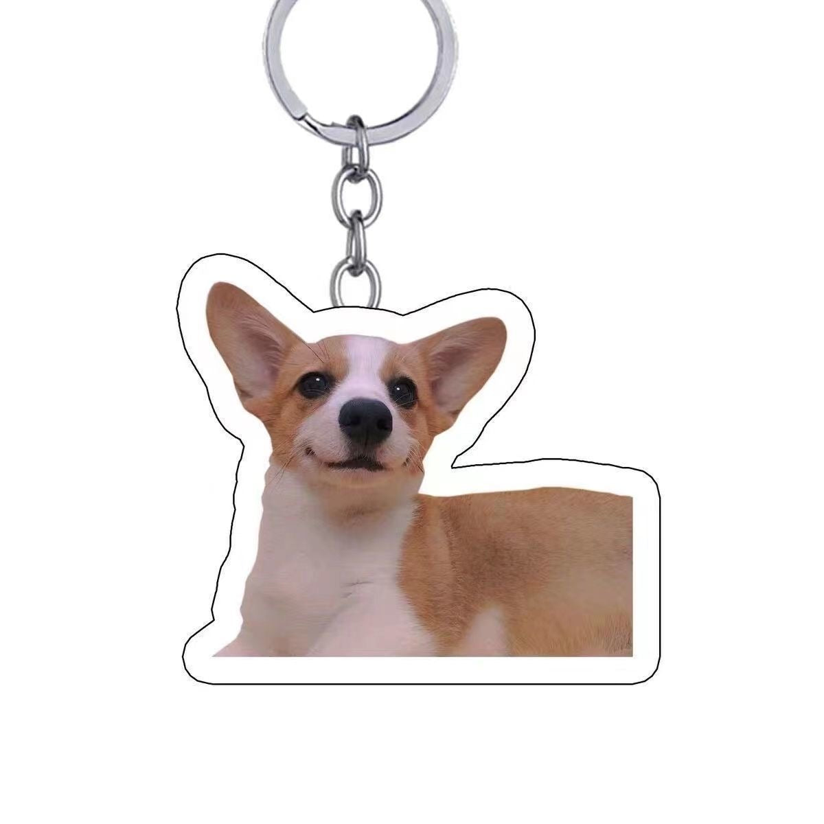 Custom Pet Photo Keychain 