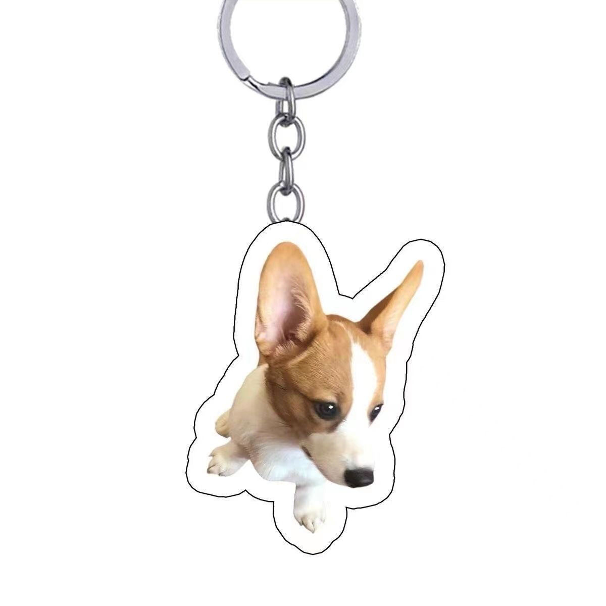 Custom Pet Photo Keychain 