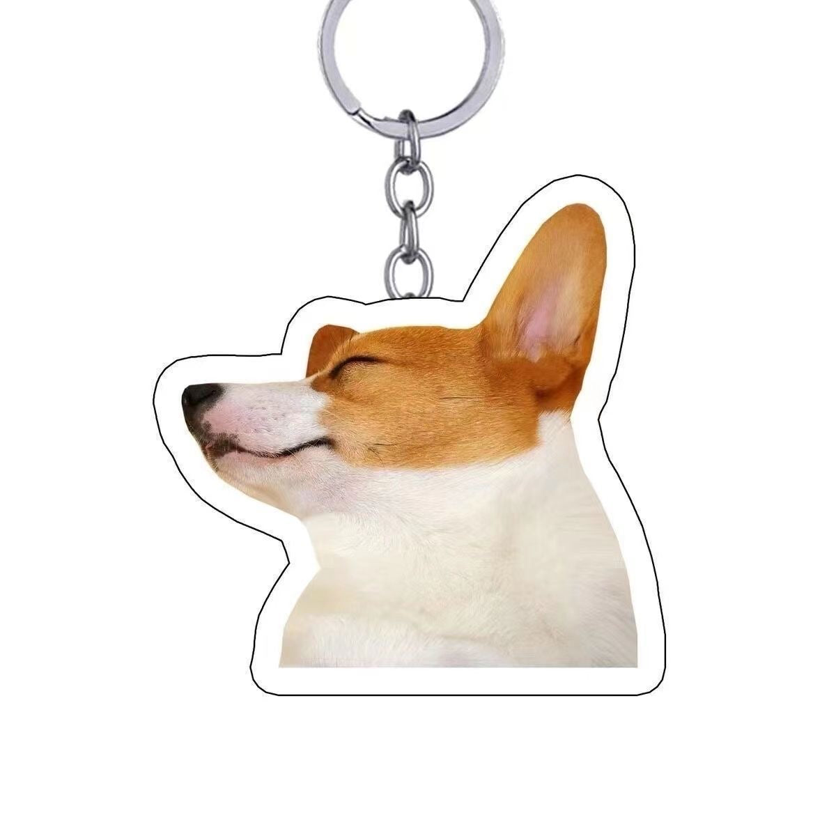 Custom Pet Photo Keychain 