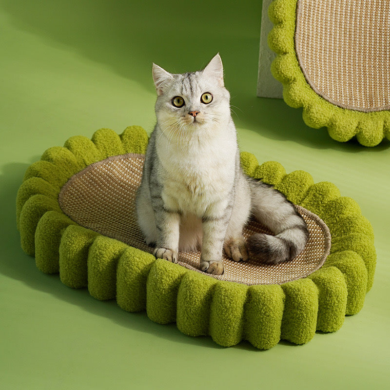 Green Tooth Cat Scratcher & Bed | Cat Bed | Cat Supplies