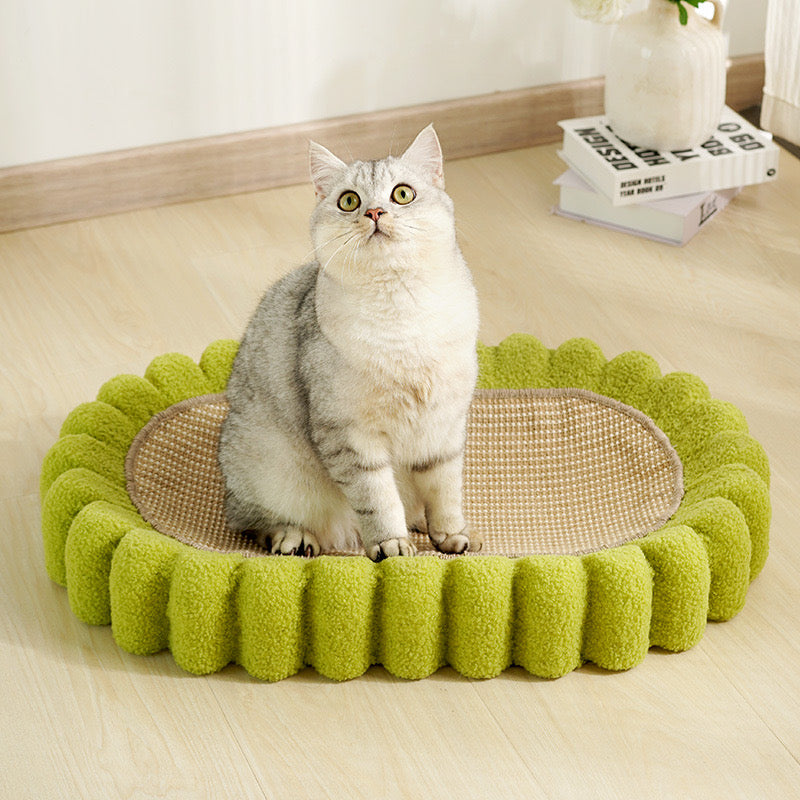 Green Tooth Cat Scratcher & Bed | Cat Bed | Cat Supplies