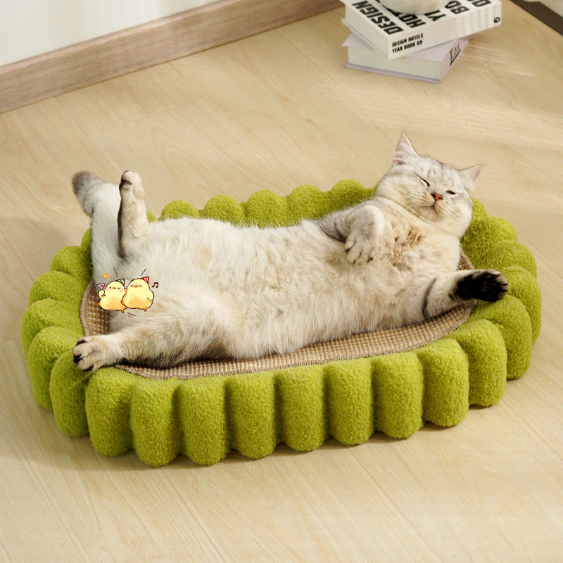 Green Tooth Cat Scratcher & Bed | Cat Bed | Cat Supplies