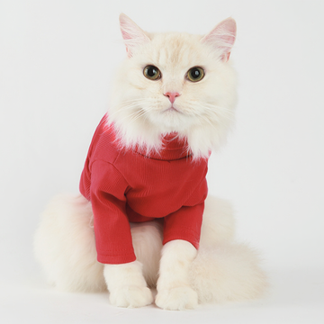 Label Turtleneck Red - BaconPaw