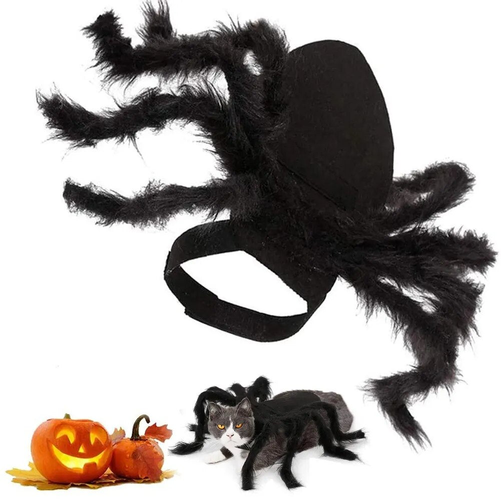 Halloween Spider Costume for Cat Halloween Pet Costume Party - BaconPaw