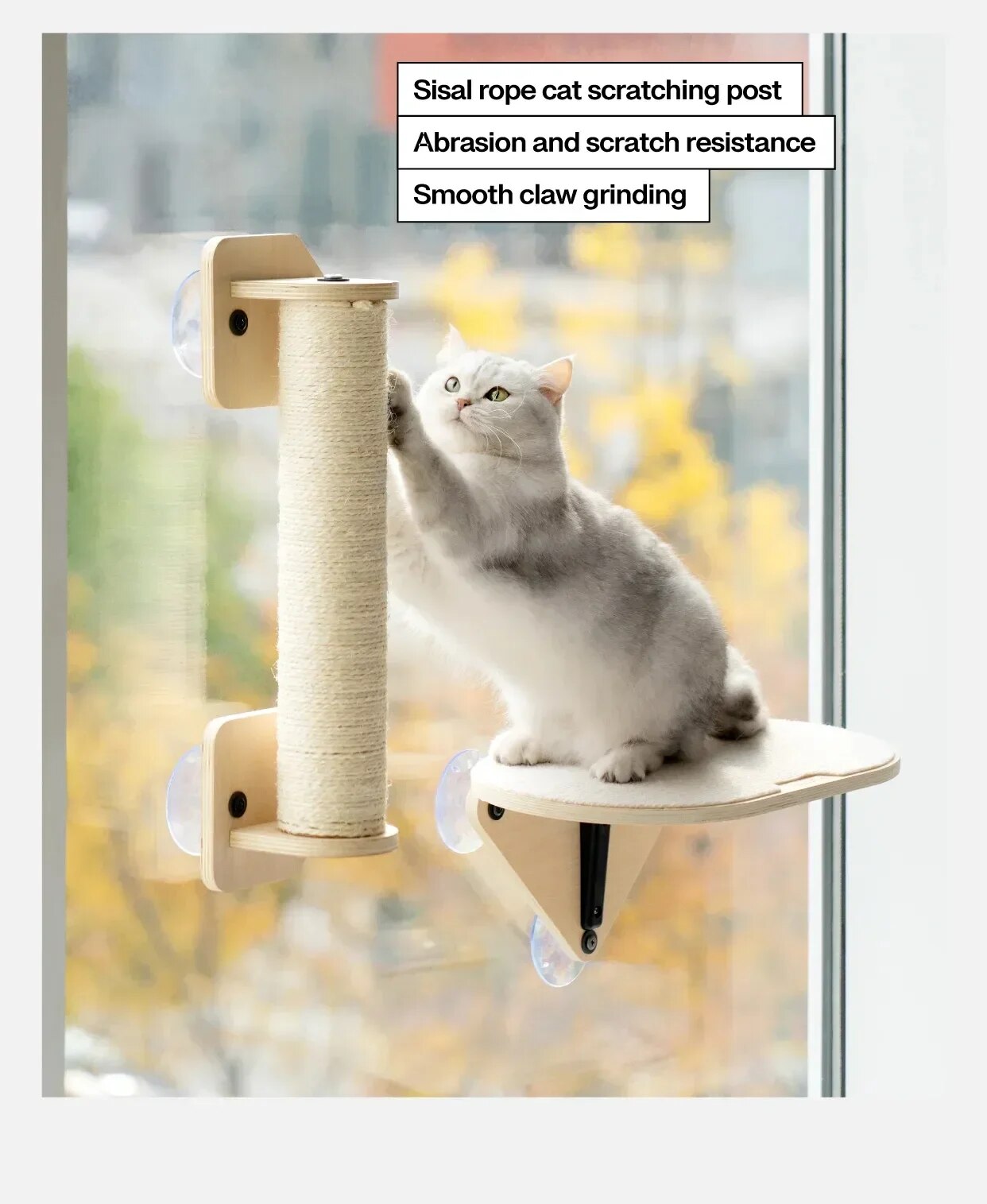 Air Cat Climbing Frame