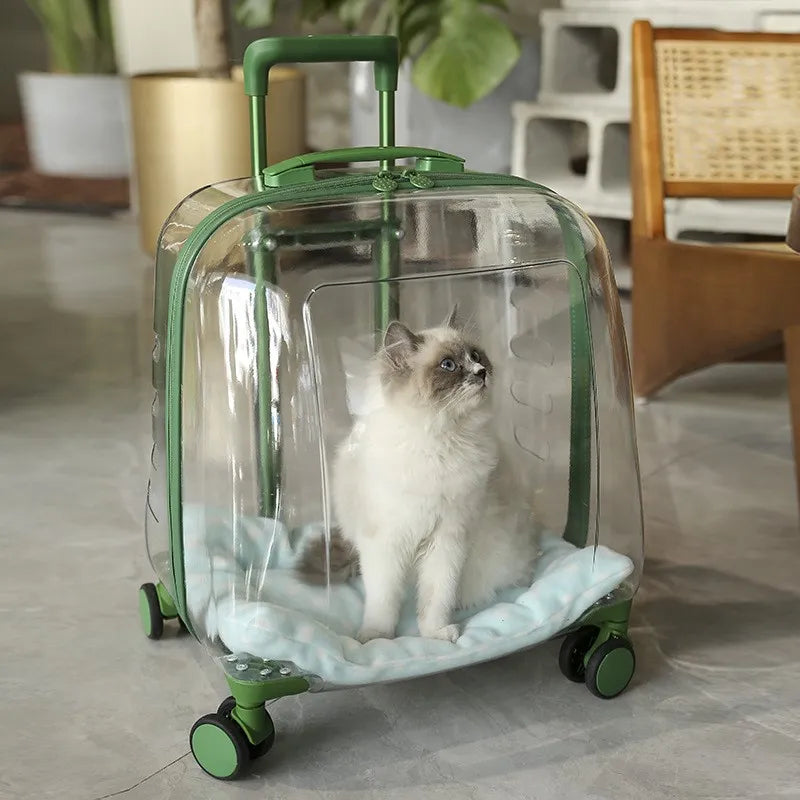 Jelly Pet Trolley | Transparent Pet Trolley | Pet Products