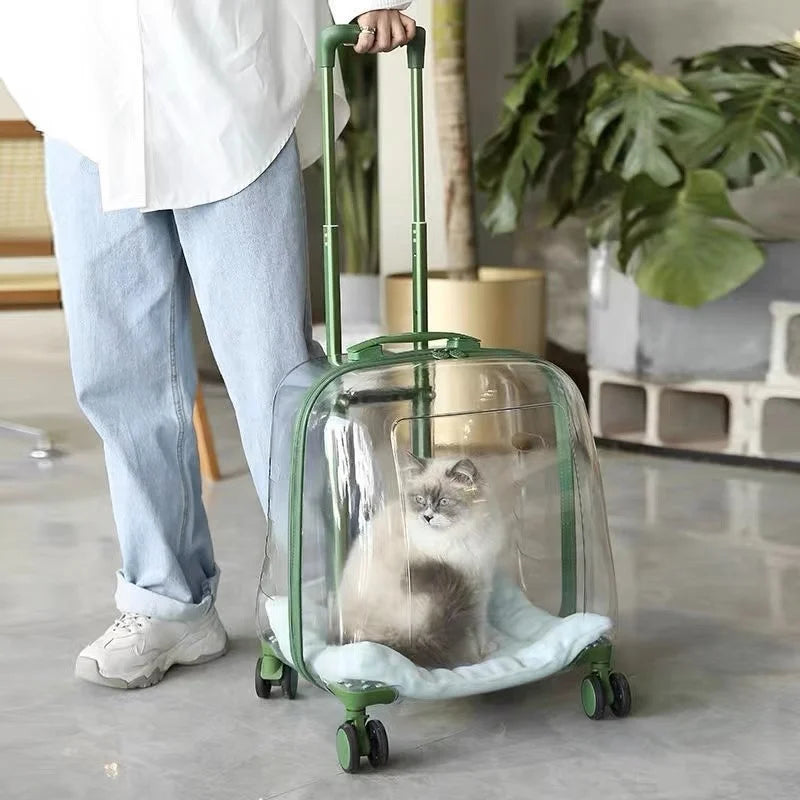 Jelly Pet Trolley | Transparent Pet Trolley | Pet Products