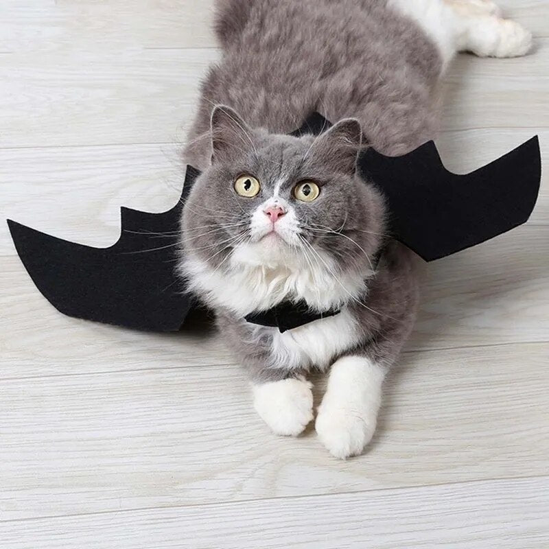 Halloween Cute Pet Clothes Black Bat Wings Harness Costume Cosplay Cat - BaconPaw