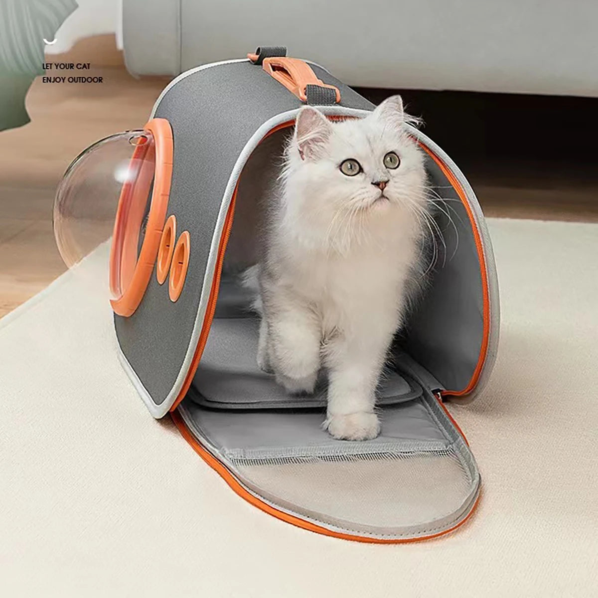 Window Transparent Foldable Pet Handbag | Cat Backpack Carrier