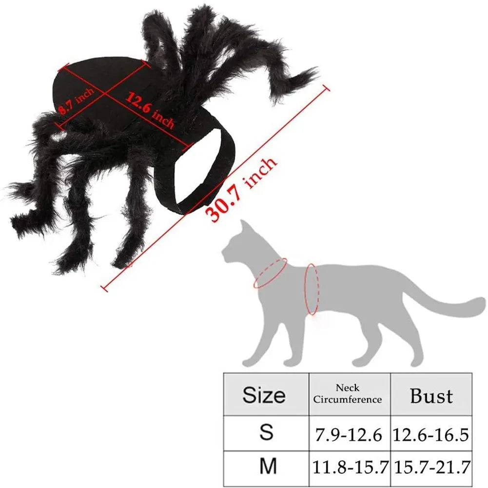 Halloween Spider Costume for Cat Halloween Pet Costume Party - BaconPaw