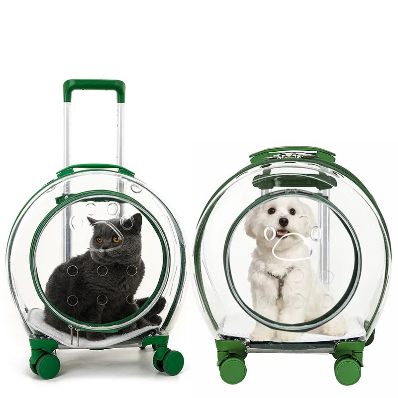 Outdoor Transparent Pet Luggage | Homecloud Transparent Pet Carrier Backpack