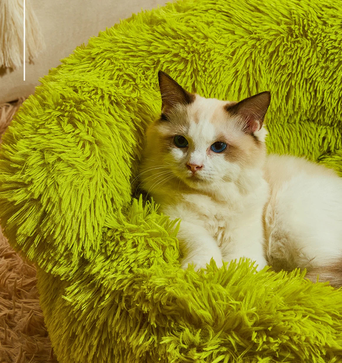 Super Fluffy Cat Bed | Modern Cute Monster Bed for Cats