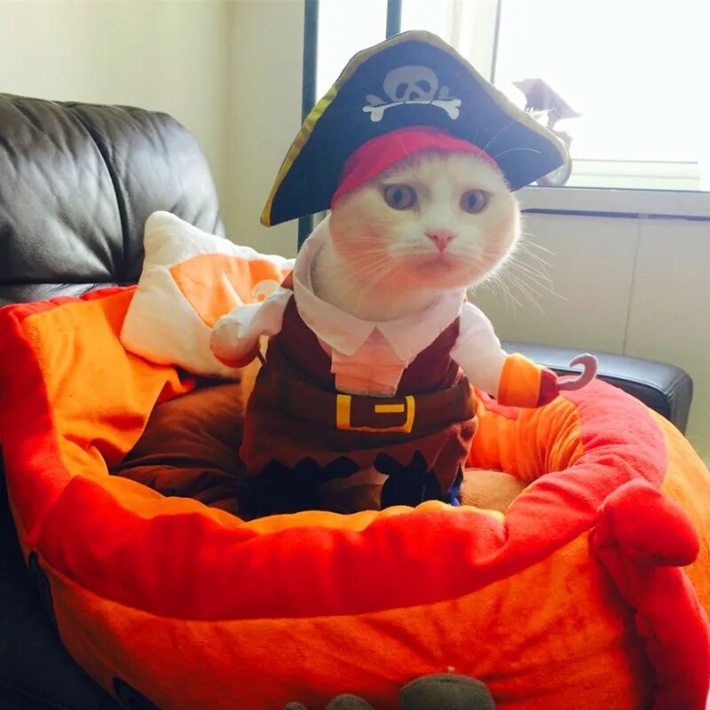 Funny Cat Costumes Pirate Suit Cat Clothes Kitty Kitten Corsair - BaconPaw