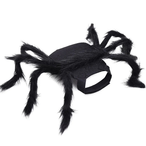 Halloween Spider Costume for Cat Halloween Pet Costume Party - BaconPaw