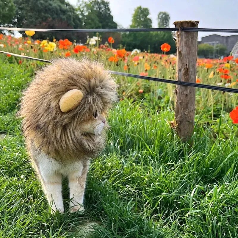 Cat Costume Cute Lion Mane Cat Wig Hat Cosplay Clothes Cap Dress Up - BaconPaw