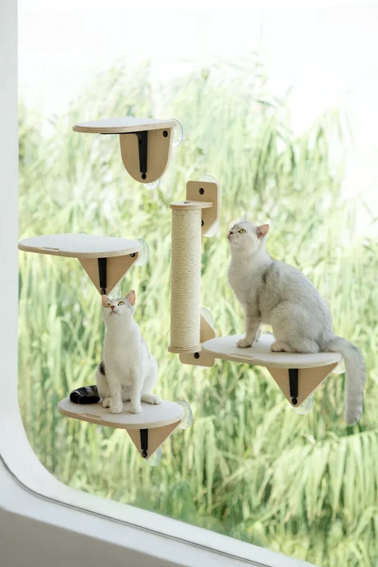 Air Cat Climbing Frame