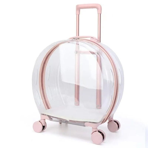 Outdoor Transparent Pet Luggage | Homecloud Transparent Pet Carrier Backpack