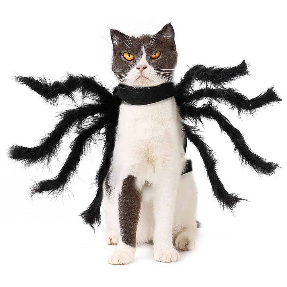 Halloween Spider Costume for Cat Halloween Pet Costume Party - BaconPaw