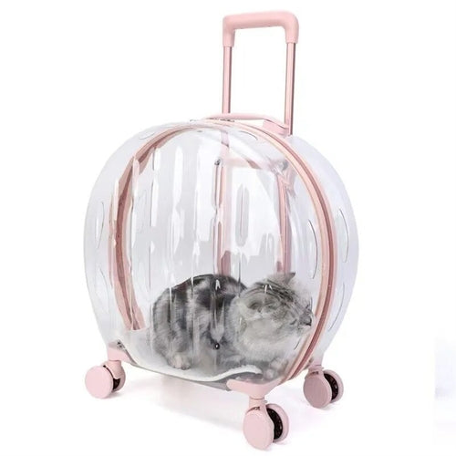 Outdoor Transparent Pet Luggage | Homecloud Transparent Pet Carrier Backpack