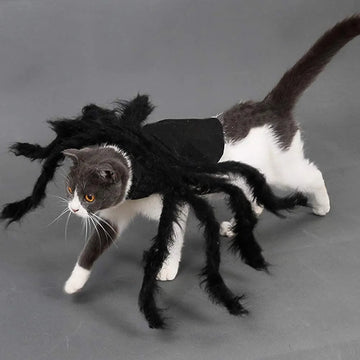 Halloween Spider Costume for Cat Halloween Pet Costume Party - BaconPaw