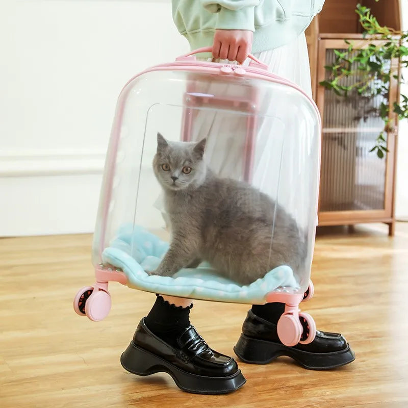 Jelly Pet Trolley | Transparent Pet Trolley | Pet Products