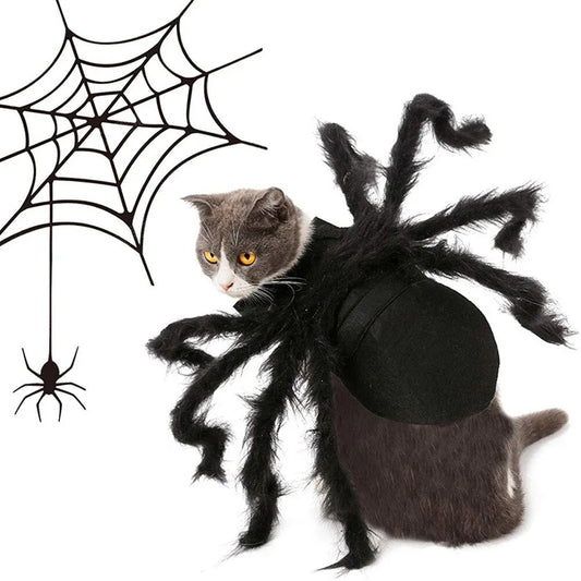 Halloween Spider Costume for Cat Halloween Pet Costume Party - BaconPaw