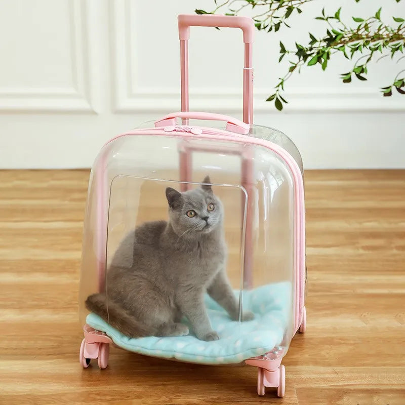 Jelly Pet Trolley | Transparent Pet Trolley | Pet Products