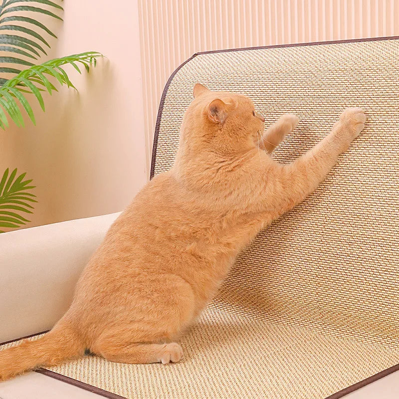 Sofa Protection Cat Scratcher | Cat Scratch Deterrent