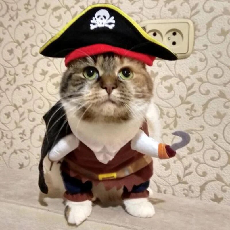 Funny Cat Costumes Pirate Suit Cat Clothes Kitty Kitten Corsair - BaconPaw