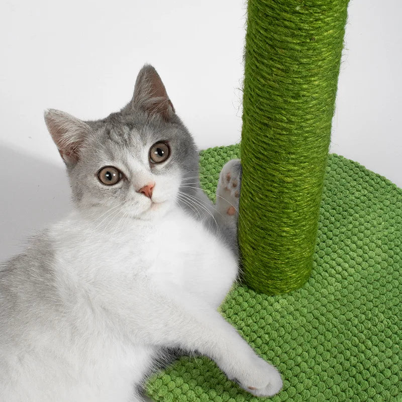 Sisal Cactus Cat Scratcher | Kitten Climbing Scratcher Furniture Toys