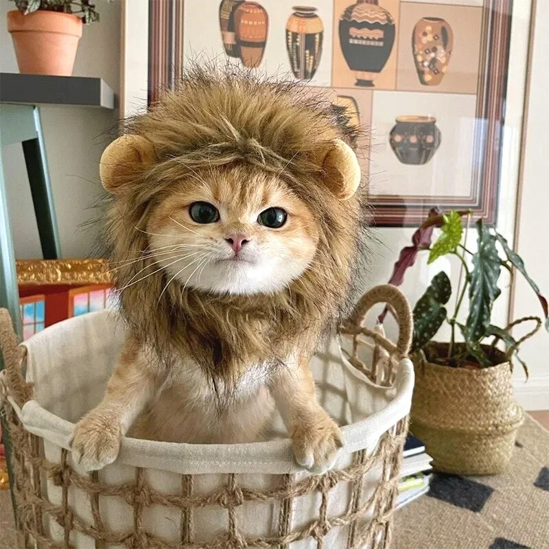 Cat Costume Cute Lion Mane Cat Wig Hat Cosplay Clothes Cap Dress Up - BaconPaw