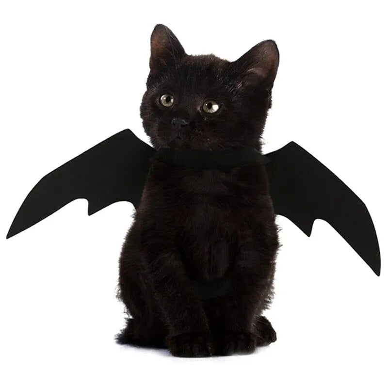 Halloween Cute Pet Clothes Black Bat Wings Harness Costume Cosplay Cat - BaconPaw