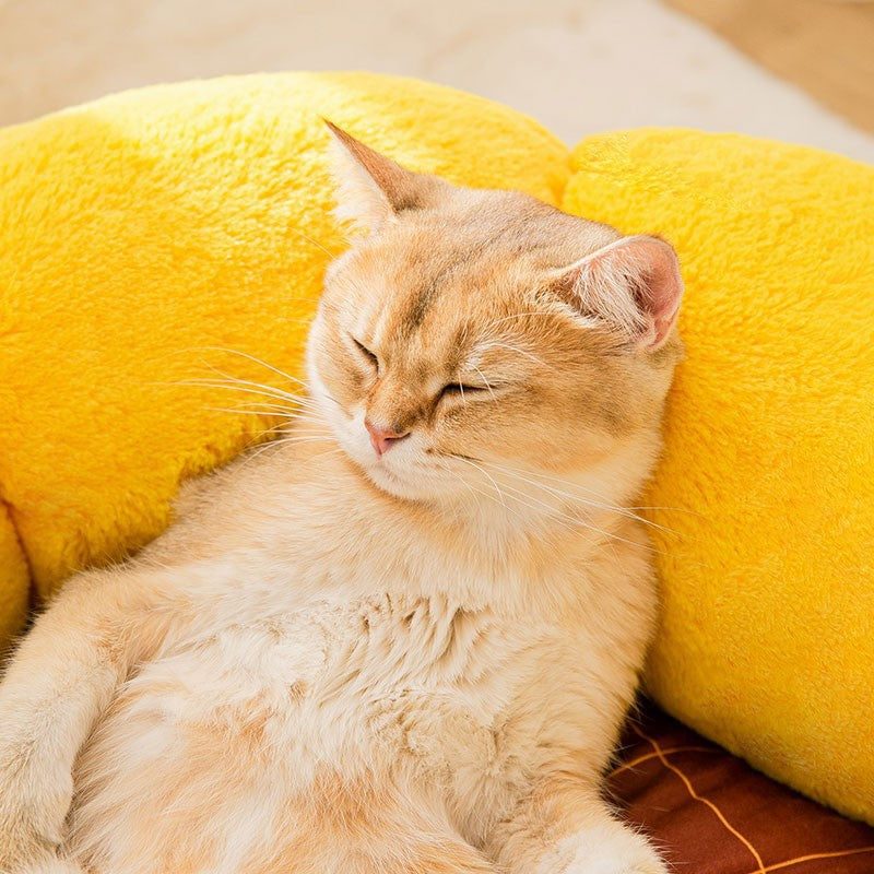 New Cat Nest Mat Pet Products | Cat Nest Flower Shape Cat Sofa