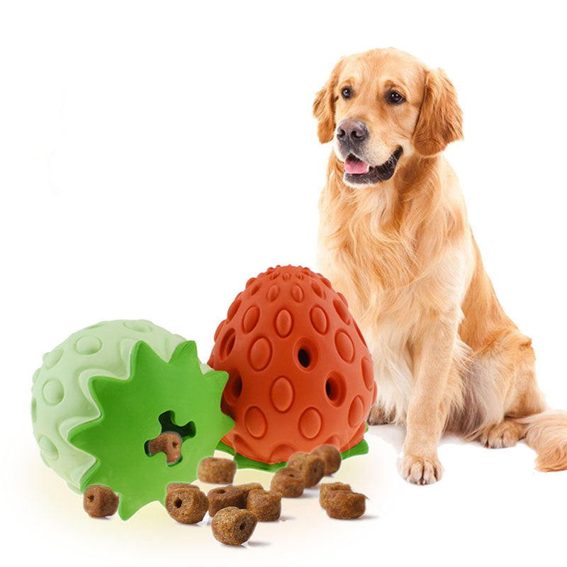 Pet Toy Chew | Resistant Strawberry Leak Food Ball