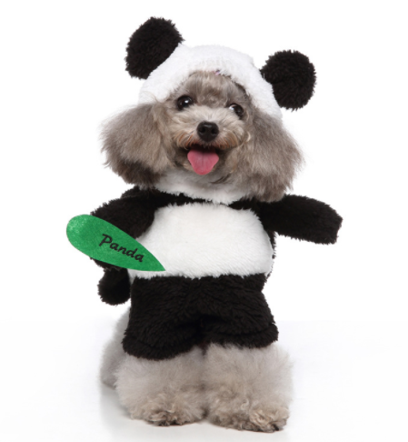 Standing Outfit Funny Dog Clothes | Cosplay Pet Supplies | Pet Outfit