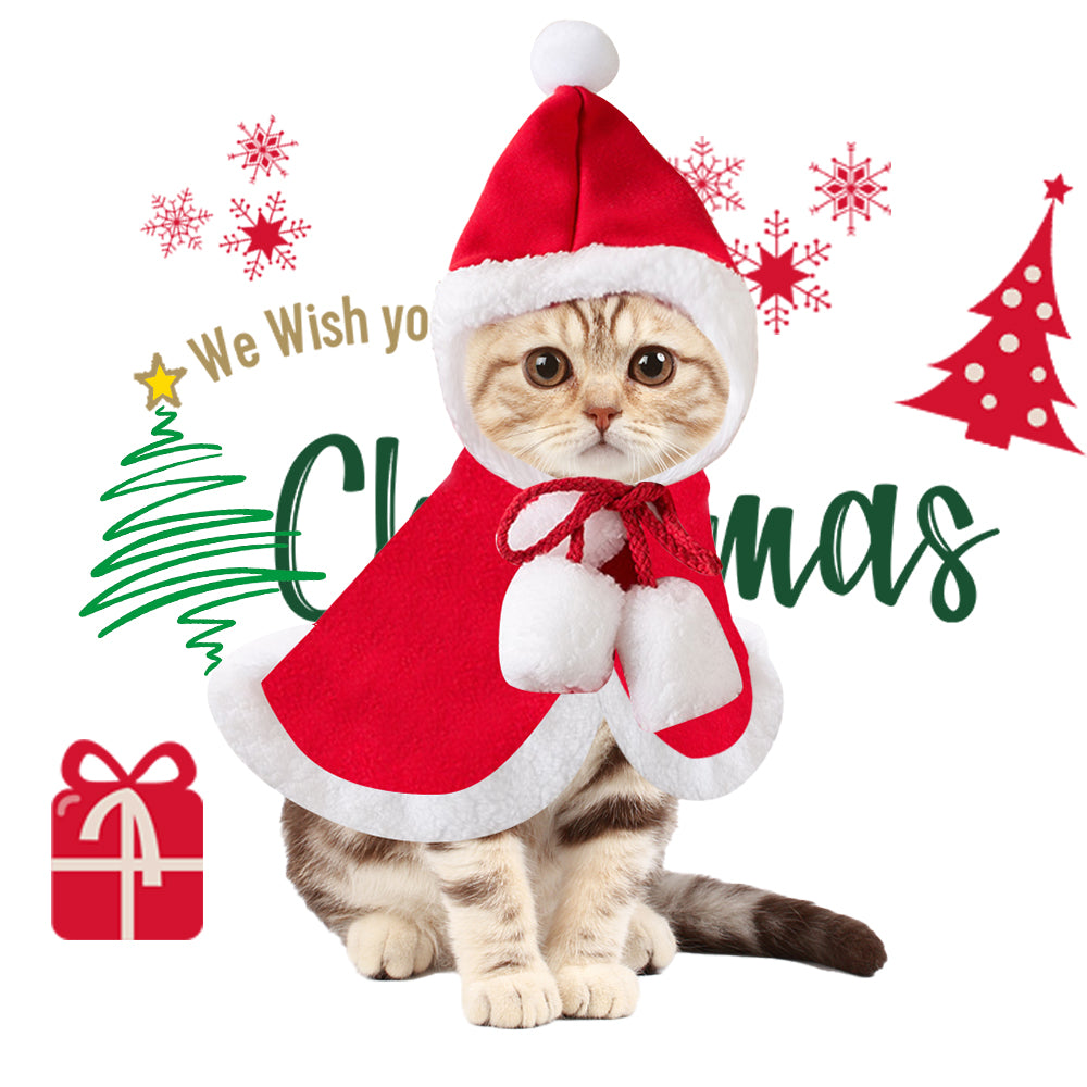 Cat Christmas Outfits