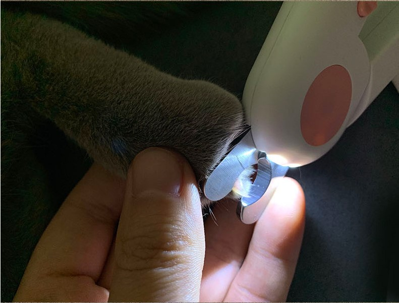 Pet Nail Scissors LED Cat Nail Clipper Trimmer - BaconPaw